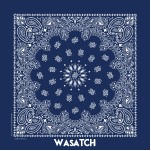 Qtees Paisley Bandanna